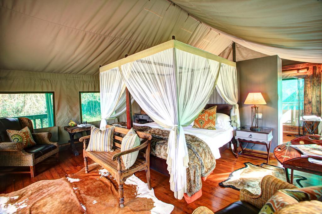 Botlierskop Private Game Reserve Reebok Rum bild