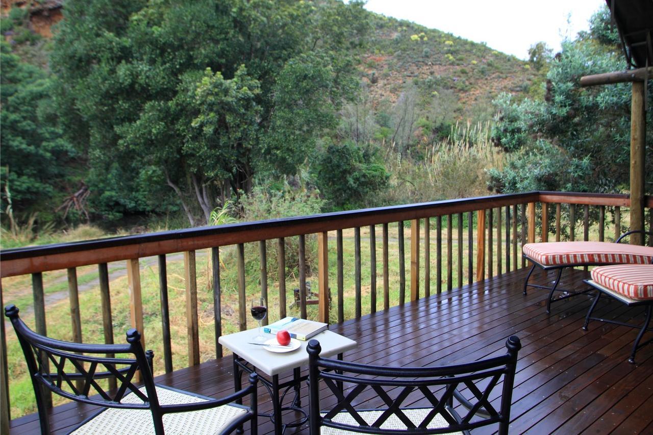 Botlierskop Private Game Reserve Reebok Exteriör bild
